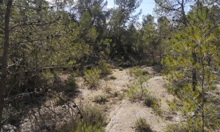 Photo N° 5