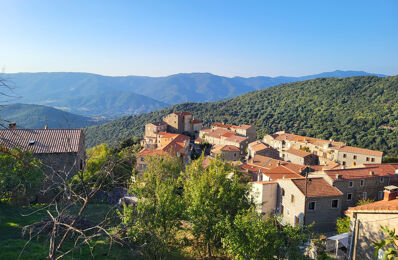 vente maison 320 000 € à proximité de Serra-Di-Ferro (20140)