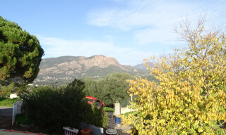 Photo N° 4