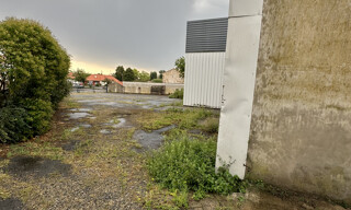 Photo N° 5