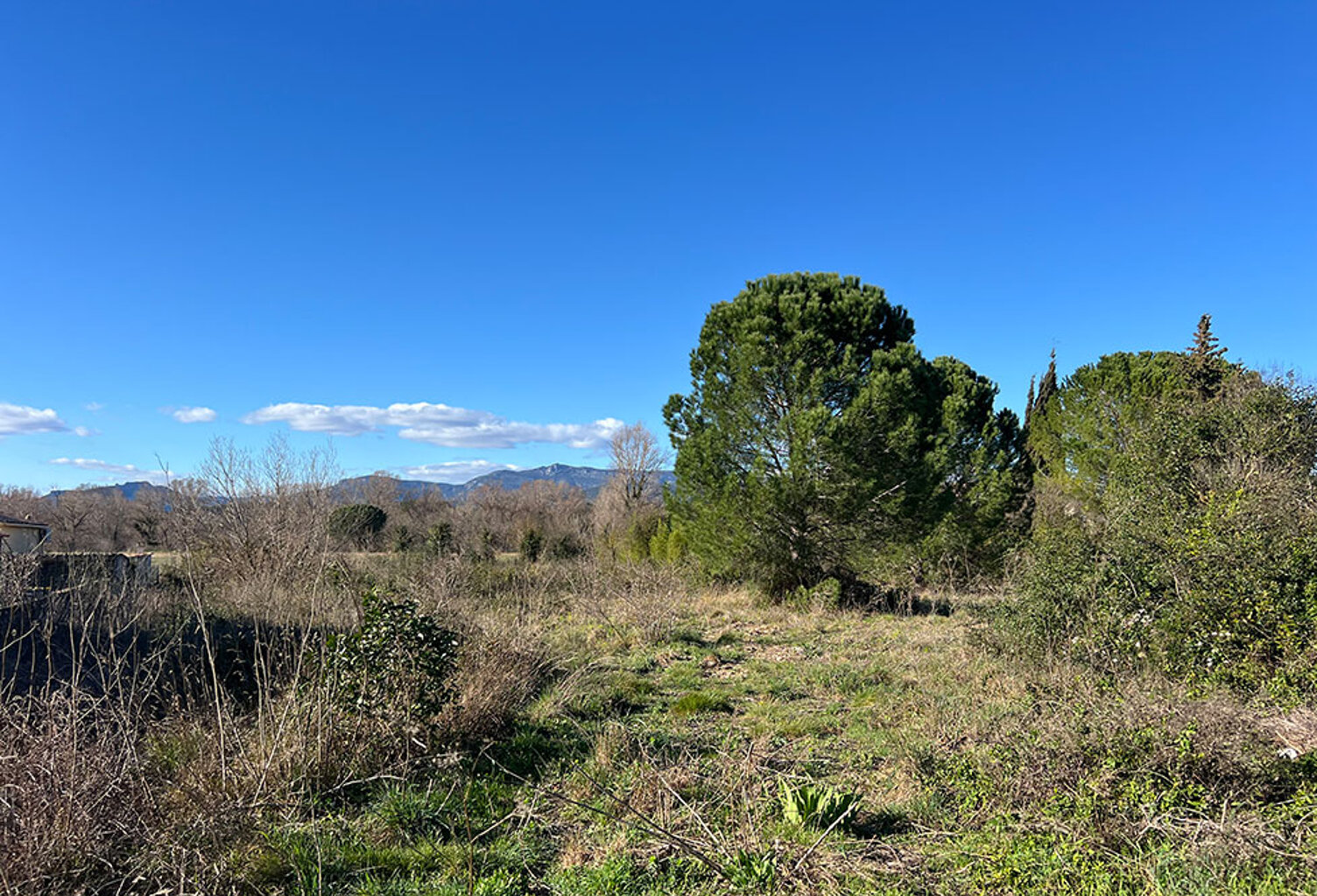 Terrain - 500 — photo 1