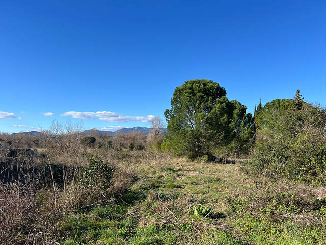 Terrain - 500 — photo du bien