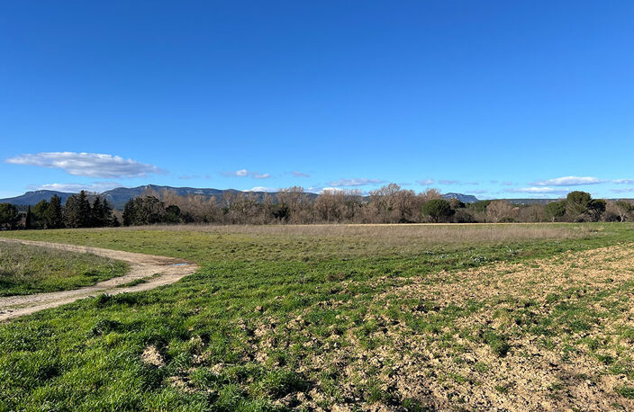Terrain - 500 — photo 2