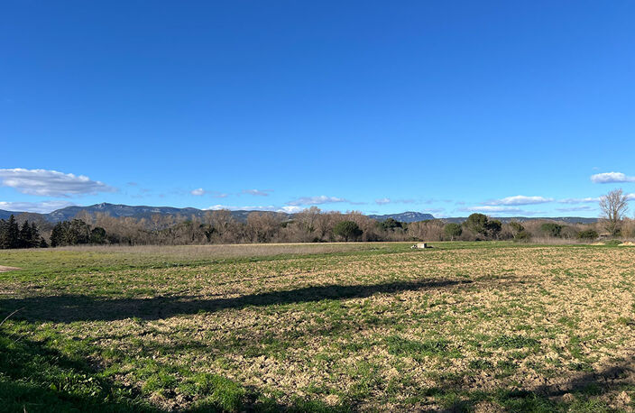 Terrain - 500 — photo 3