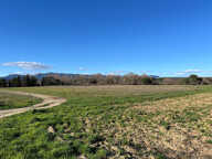 Terrain - 480 — photo 2