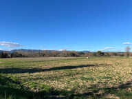 Terrain - 480 — photo 3