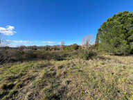 Terrain - 480 — photo 4