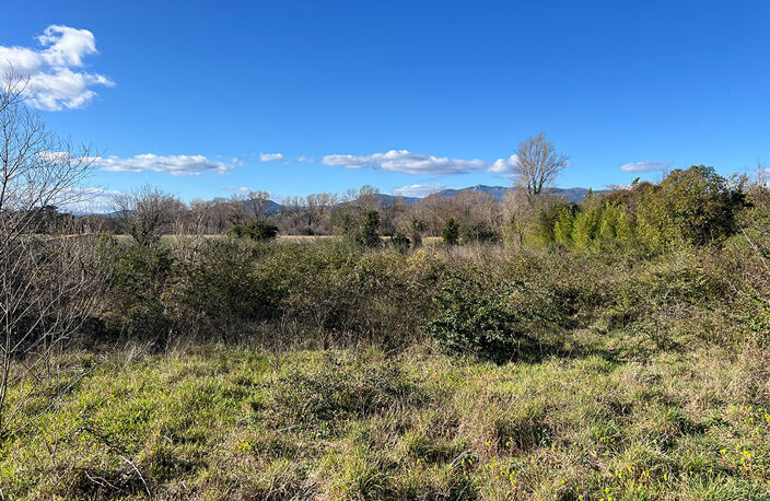 Terrain - 480 — photo 5