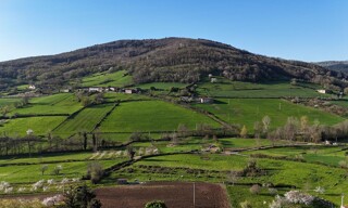 Photo N° 3