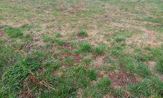 Terrain  738 m² à vendre à Gueutteville-les-Grès (76460)