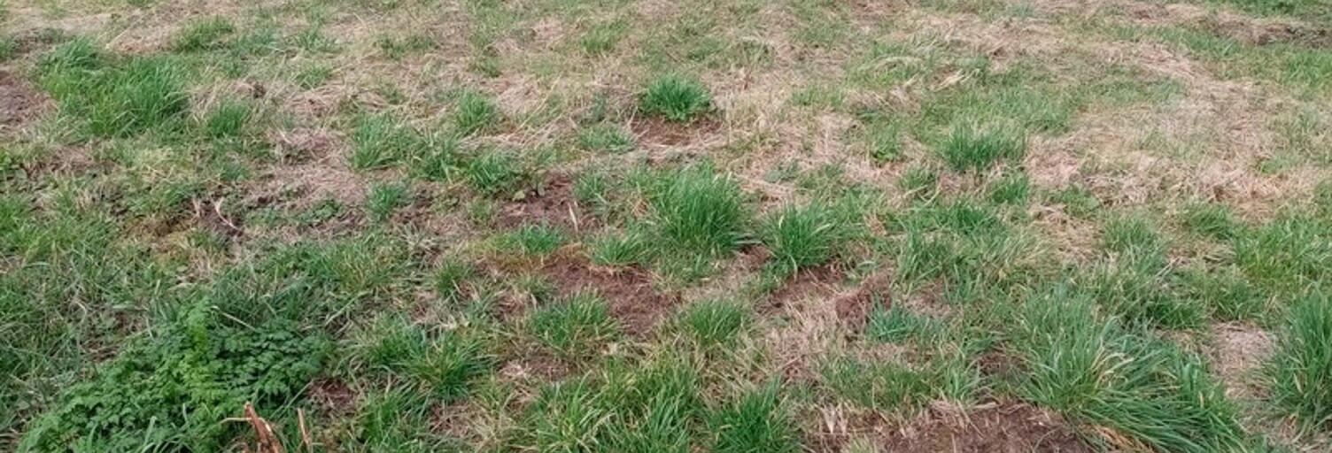 Terrain  738 m² à vendre à Gueutteville-les-Grès (76460)