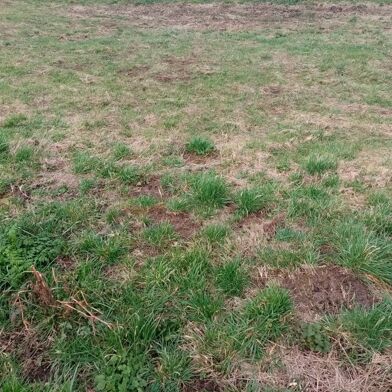Terrain  47470 €
