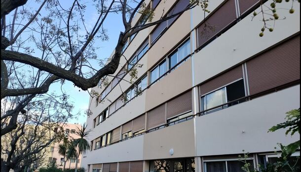 Appartement 1 pièces  à louer Hyères 83400