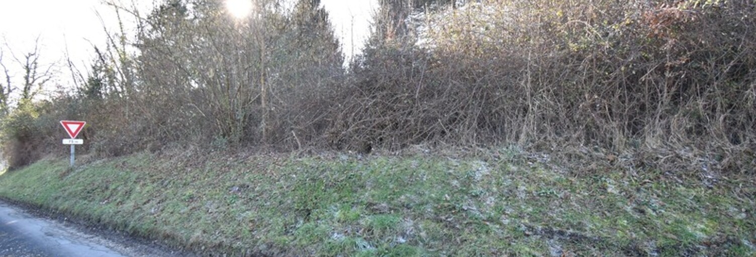 Terrain  3000 m² à vendre à Châtillon-sur-Cher (41130)