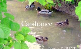 Maison  8000 m² à vendre à Bétheniville (51490)