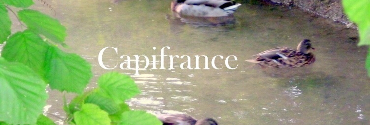 Maison  8000 m² à vendre à Bétheniville (51490)