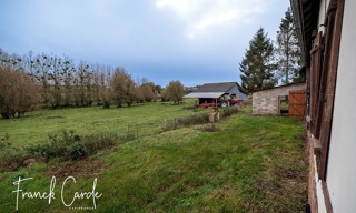 Photo N° 4