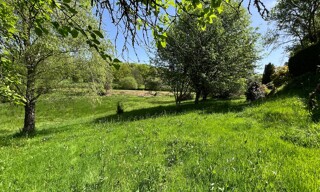 Photo N° 5