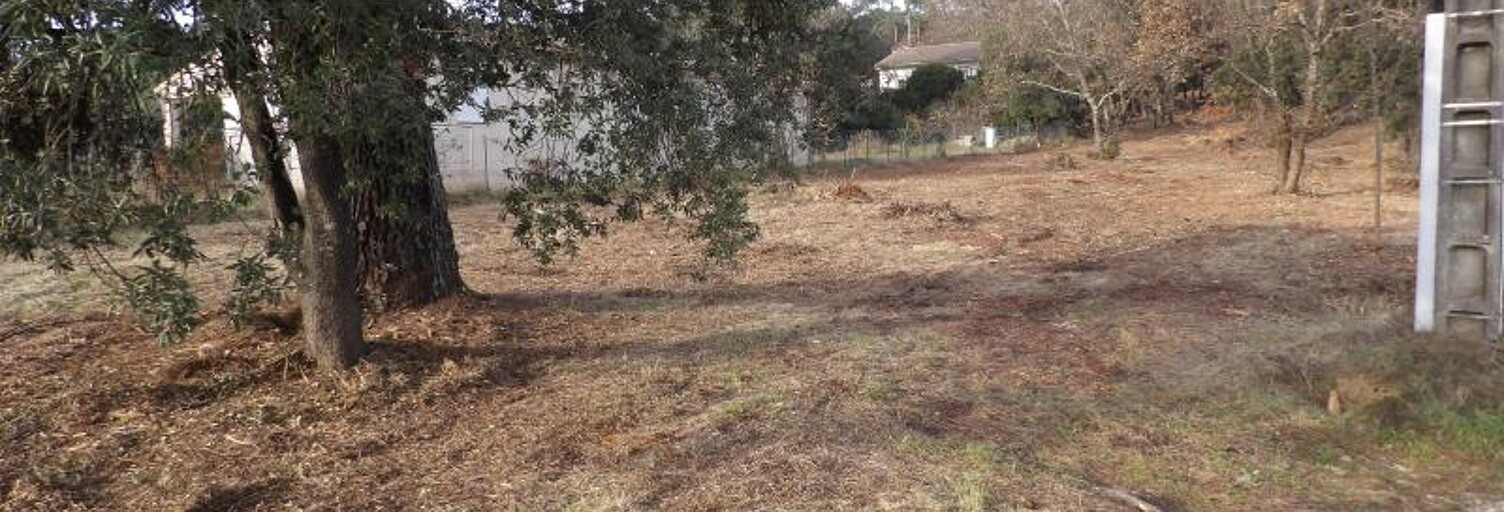 Terrain  2514 m² à vendre à Salavas (07150)