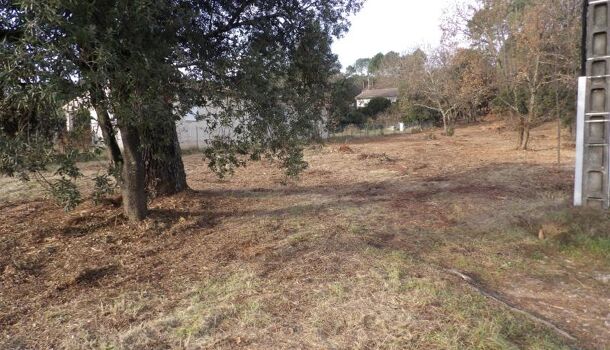 Terrain  à vendre Salavas 07150