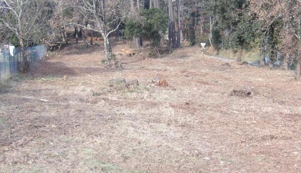 Terrain  à vendre Salavas 07150