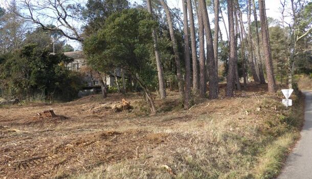 Terrain  à vendre Salavas 07150