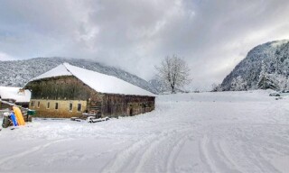 Photo N° 4