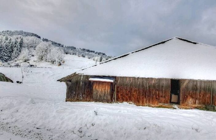 Vente maison   Morzine (74110) — photo 2