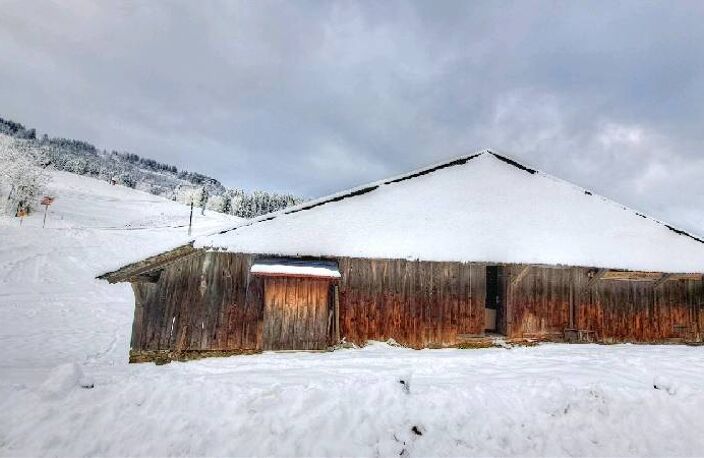 Vente maison   Morzine (74110) — photo 3