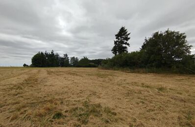 vente terrain 28 000 € à proximité de Coulommiers-la-Tour (41100)