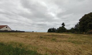 Photo N° 3