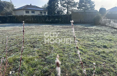 Terrain Vourles — photo du bien