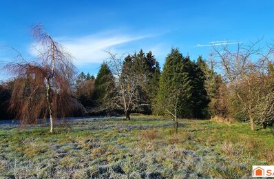 vente terrain 134 900 € à proximité de Les Authieux-sur-Calonne (14130)