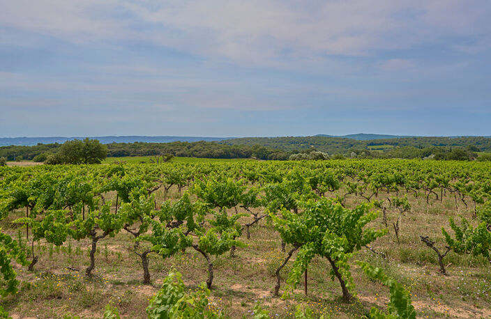 Maison de 280m2 au coeur des vignes - Sabran — photo 5