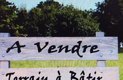 vente terrain 47 500 € à proximité de Saint-Aubin-sur-Yonne (89300)