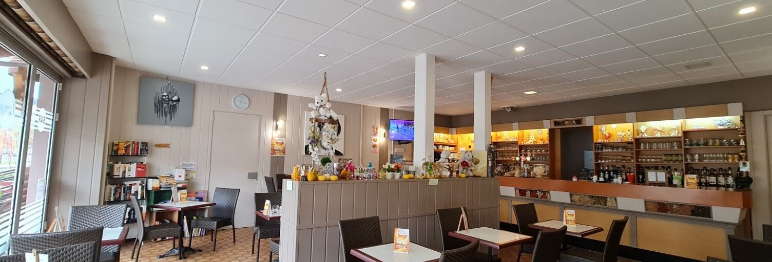 Commerce  356 m² à vendre à Saint-Dié-des-Vosges (88100)