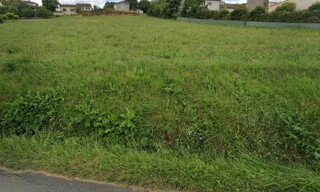 Terrain  4000 m² à vendre à Peyrens (11400)