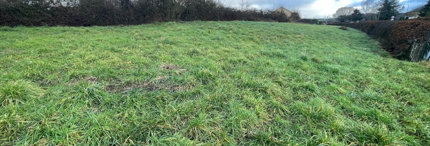 Terrain  1321 m² à vendre à Damouzy (08090)