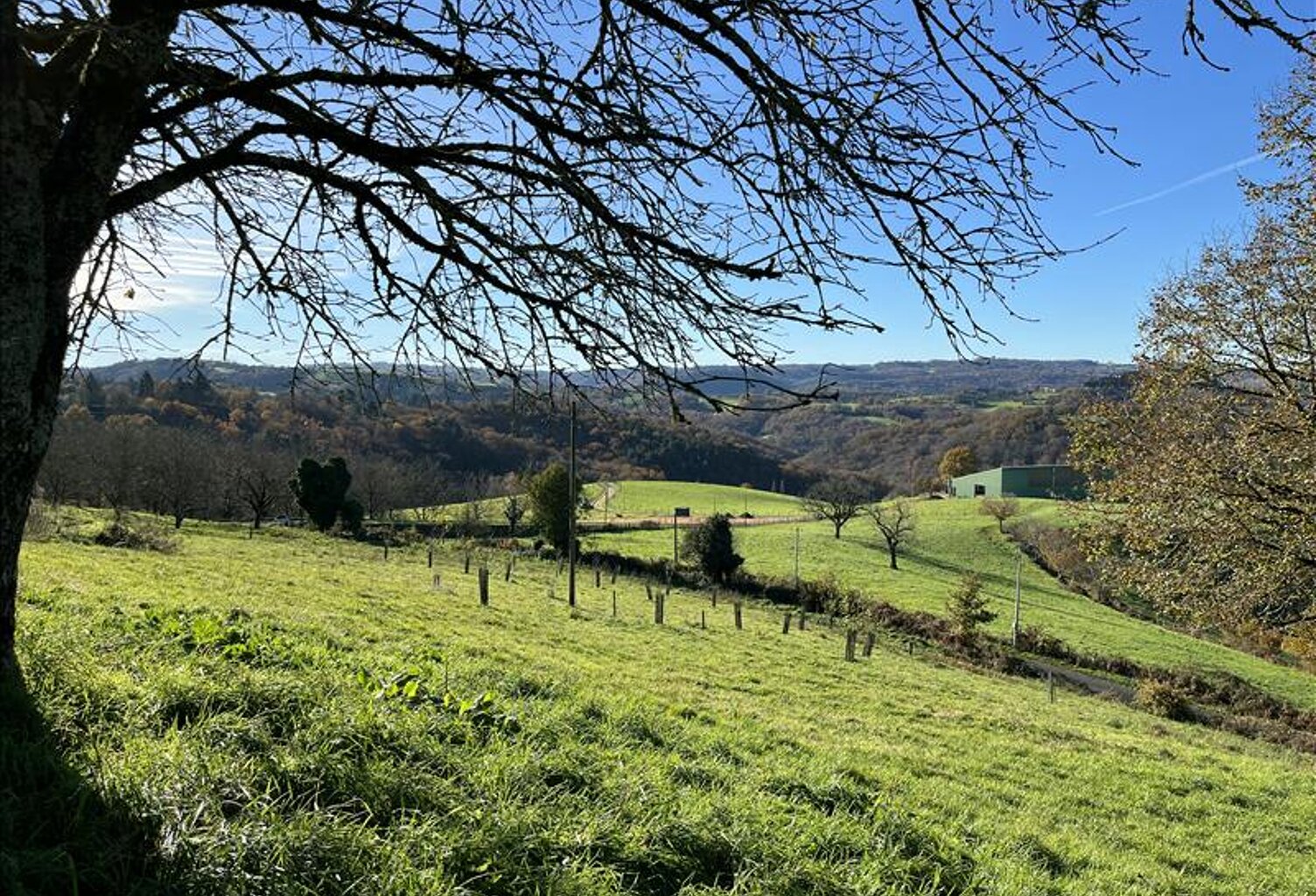 Terrain à bâtir de 0 pièces principales — photo 1