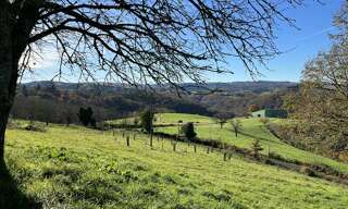 Terrain  8153 m² à vendre à Albignac (19190)