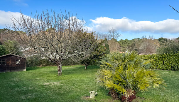 Terrain  à vendre Saint-Palais-sur-Mer 17420