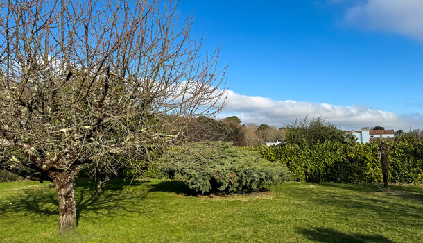 Terrain  à vendre Saint-Palais-sur-Mer 17420