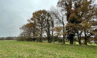 Terrain  31860 m² à vendre à Saint-Yrieix-la-Perche (87500)