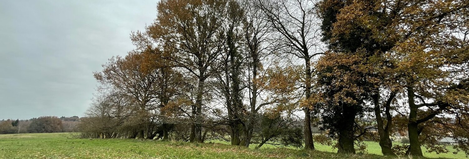 Terrain  31860 m² à vendre à Saint-Yrieix-la-Perche (87500)