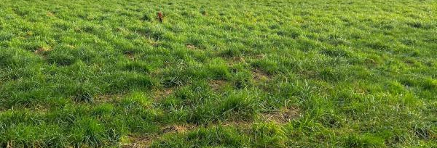 Terrain  1686 m² à vendre à Saint-Germain-du-Seudre (17240)