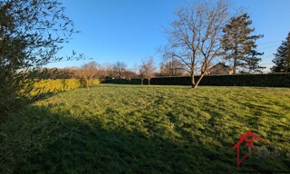 Maison 5 Pièces 128 m² à vendre à Pierre-de-Bresse (71270)