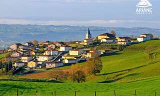 Terrain  665 m² à vendre à Pomeys (69590)