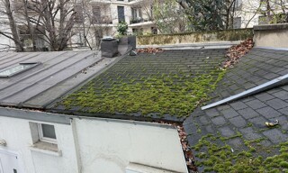 Photo N° 5