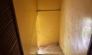 Photo N° 4