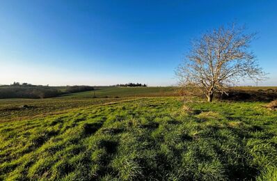 vente terrain 185 300 € à proximité de Saint-Sauveur (31790)